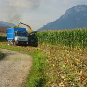 trasporto conto terzi (16)